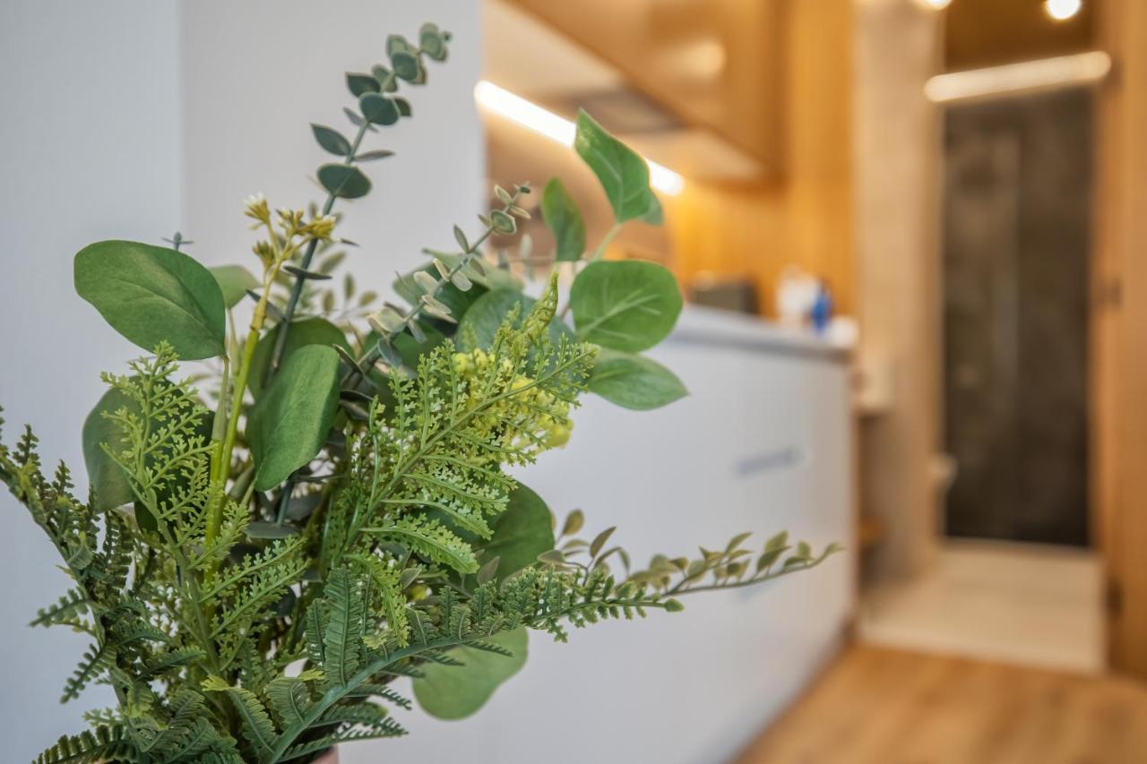 Olivia Suites Apartments 코르도바 외부 사진